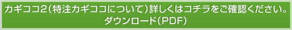 カギココ2（特注カギココについて）詳しくはコチラをご確認ください。ダウンロード（ＰＤＦ）